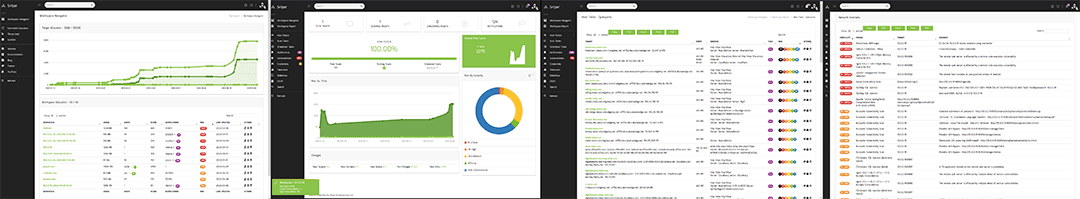 Sn1per Enterprise workspace dashboard